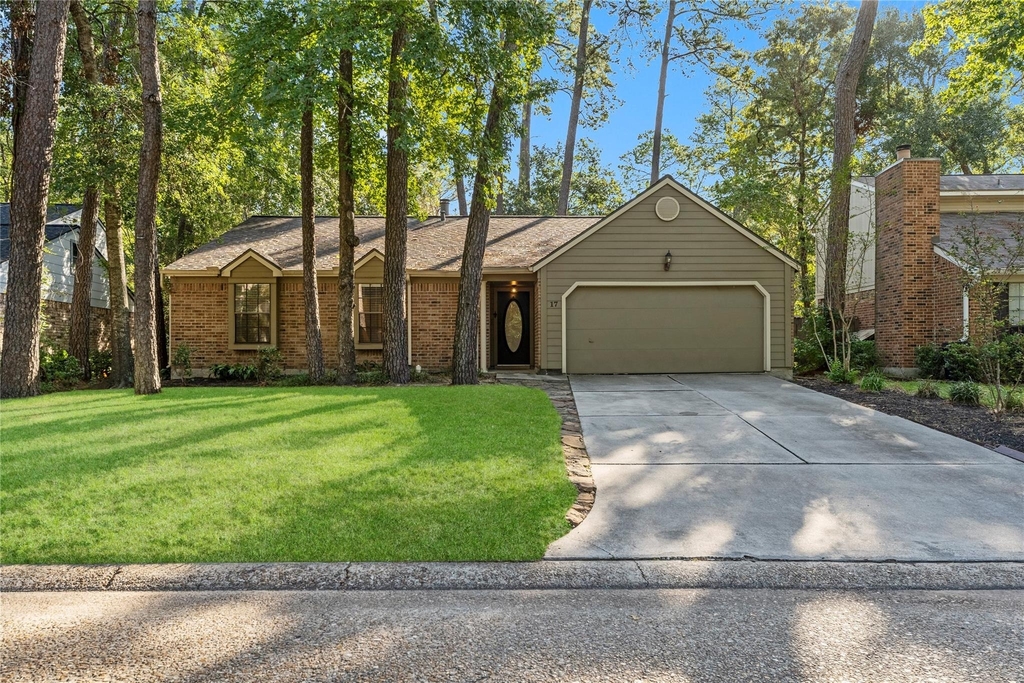 17 S Greenbud Court - Photo 13