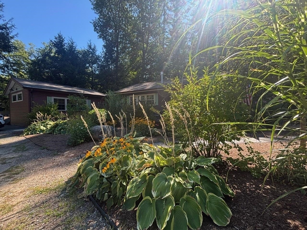 58 Patrician Shores - Photo 38