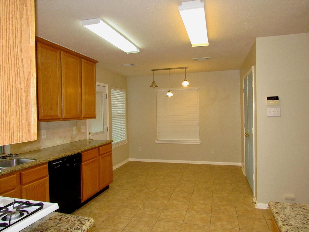 11126 Cactus Point Court - Photo 7