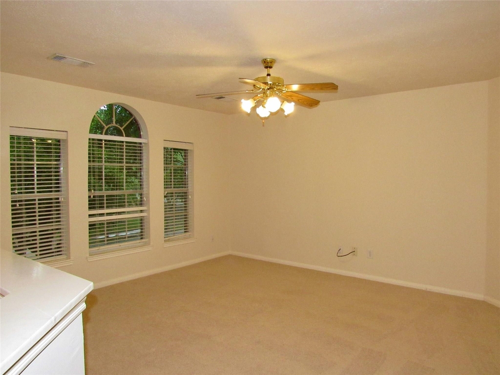 11126 Cactus Point Court - Photo 9