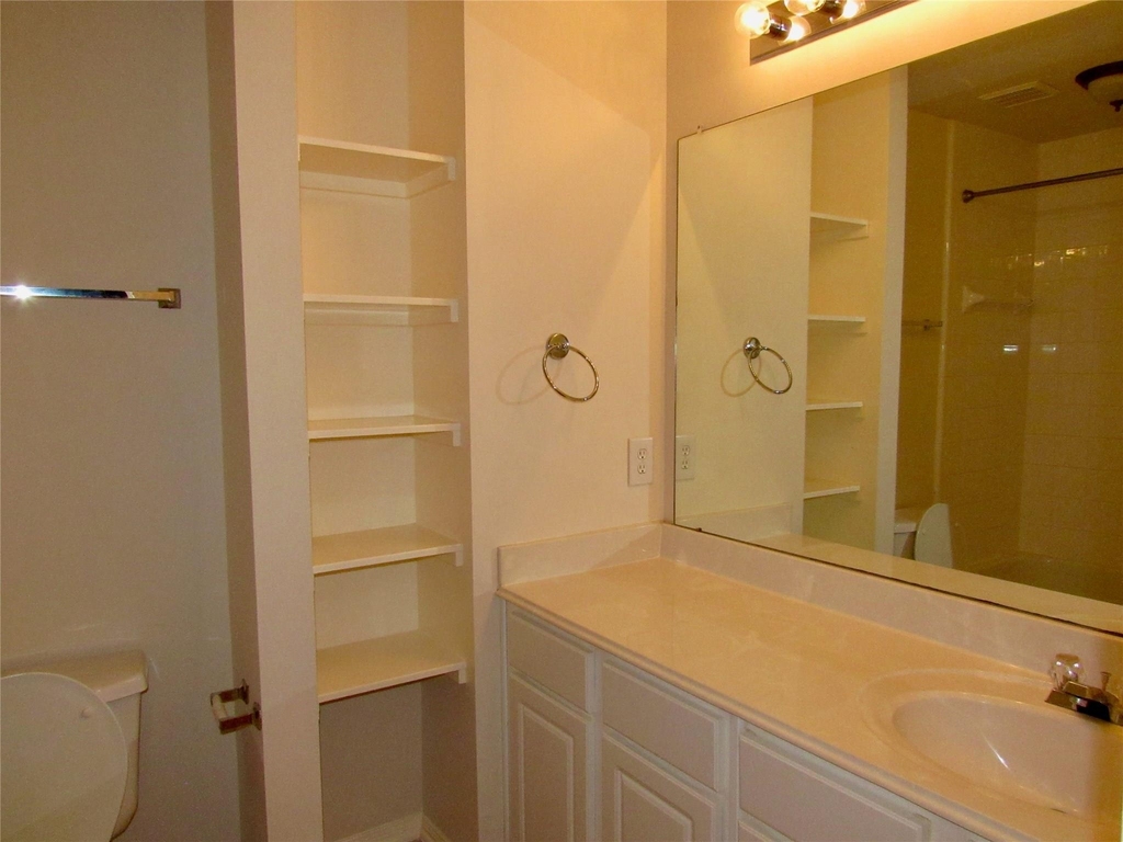 11126 Cactus Point Court - Photo 19