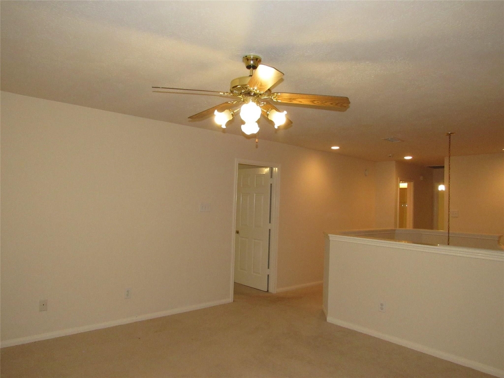 11126 Cactus Point Court - Photo 14