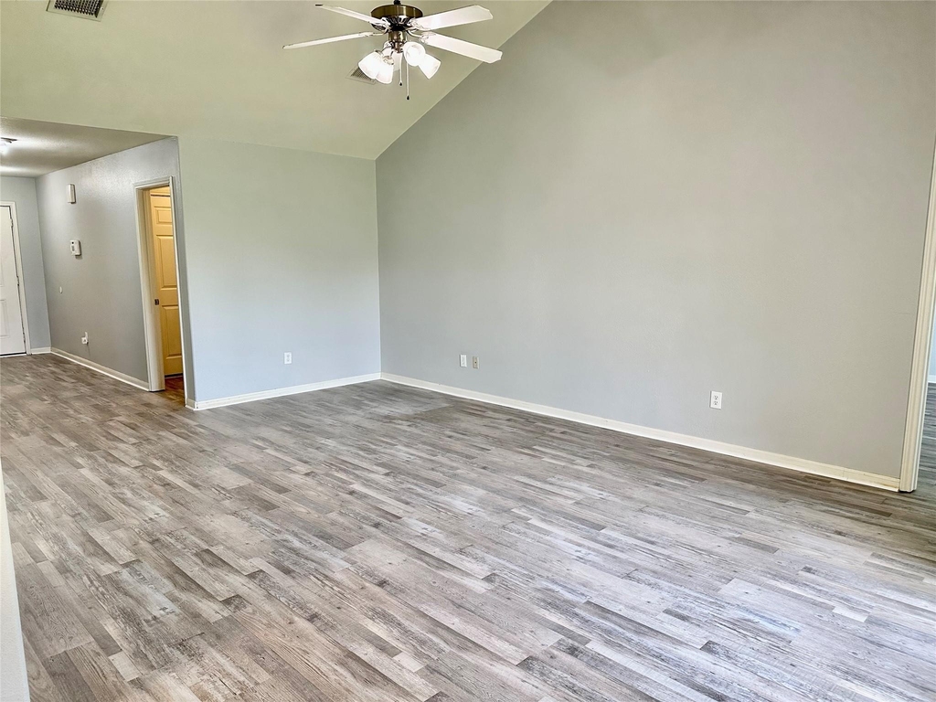 29006 Trinity River Drive - Photo 3