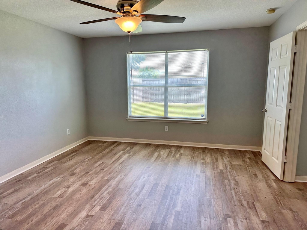29006 Trinity River Drive - Photo 8