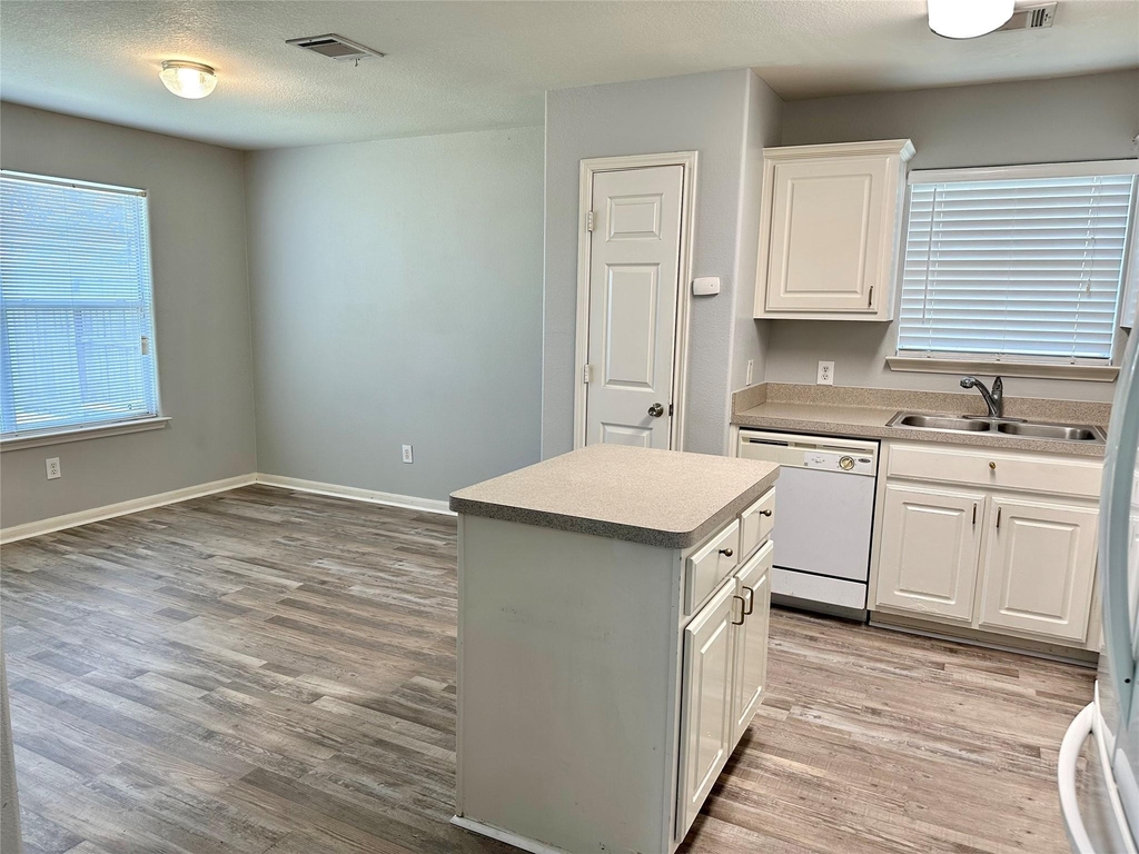 29006 Trinity River Drive - Photo 5
