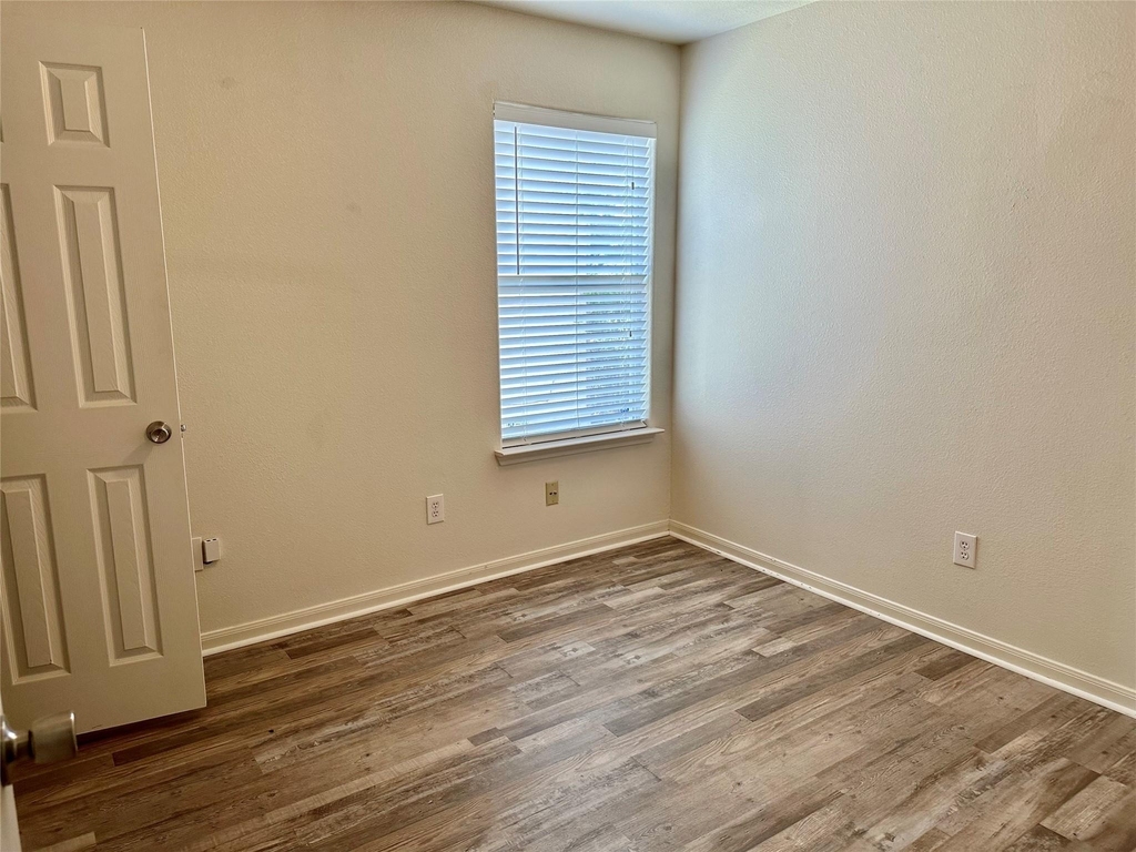 29006 Trinity River Drive - Photo 13
