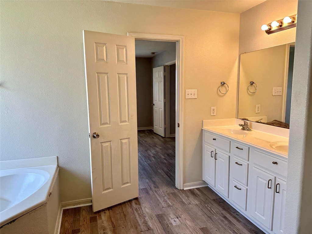 29006 Trinity River Drive - Photo 9
