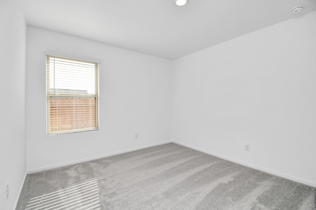 1615 Windrose Bend - Photo 25