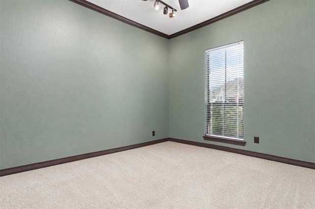 101 Sir Cameron - Photo 16