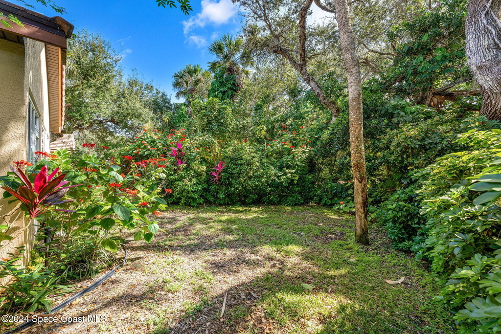 117 Caledonia Drive - Photo 43
