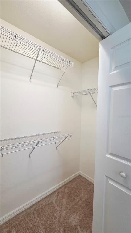 8821 Walnut Gable Court - Photo 11
