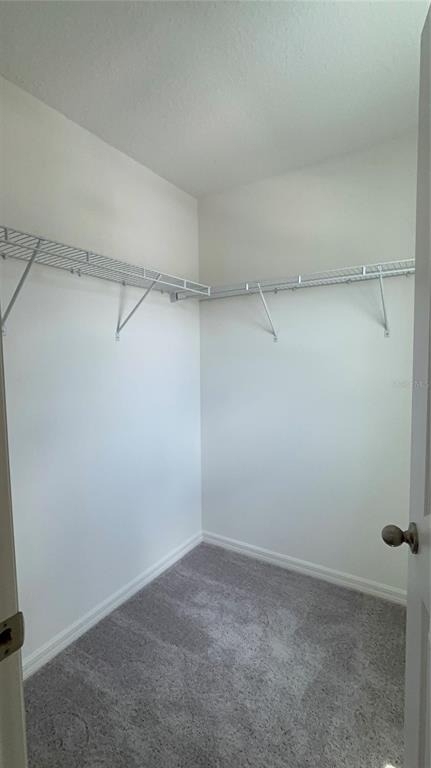 2734 Raindrop Run St - Photo 45