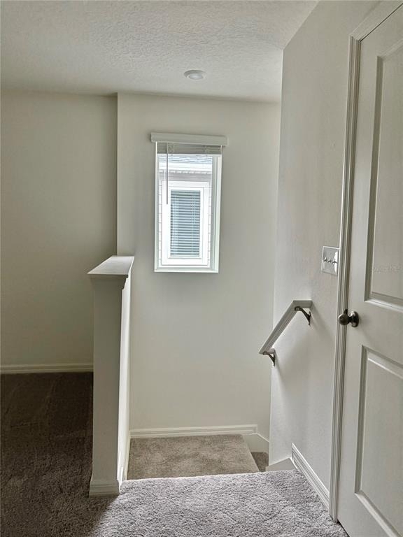 2734 Raindrop Run St - Photo 46