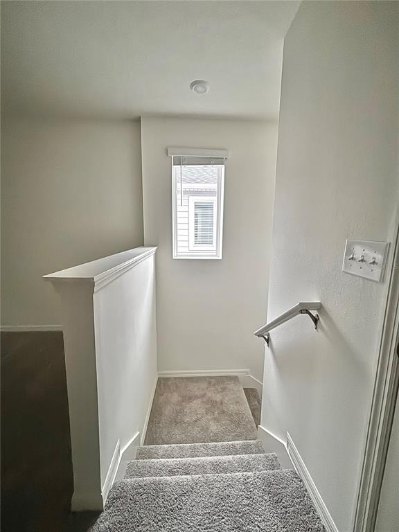 2734 Raindrop Run St - Photo 19
