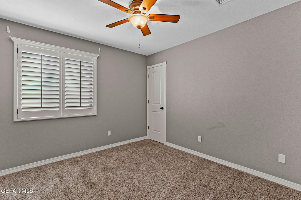 3129 Spring Willow - Photo 49