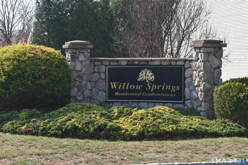 17 Willow Springs - Photo 13