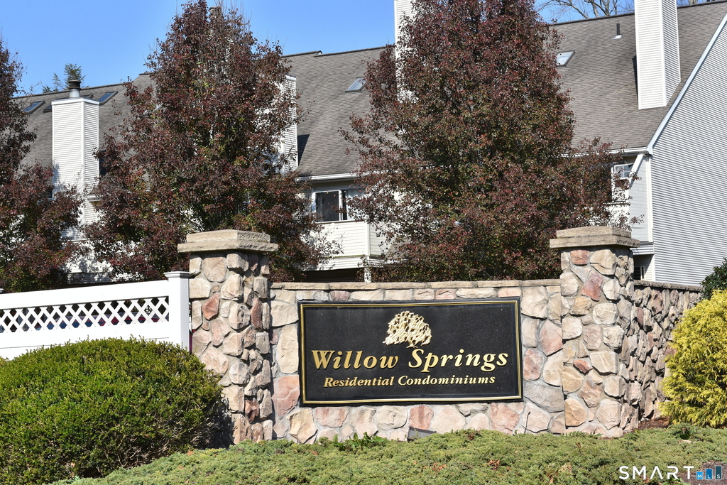 17 Willow Springs - Photo 0