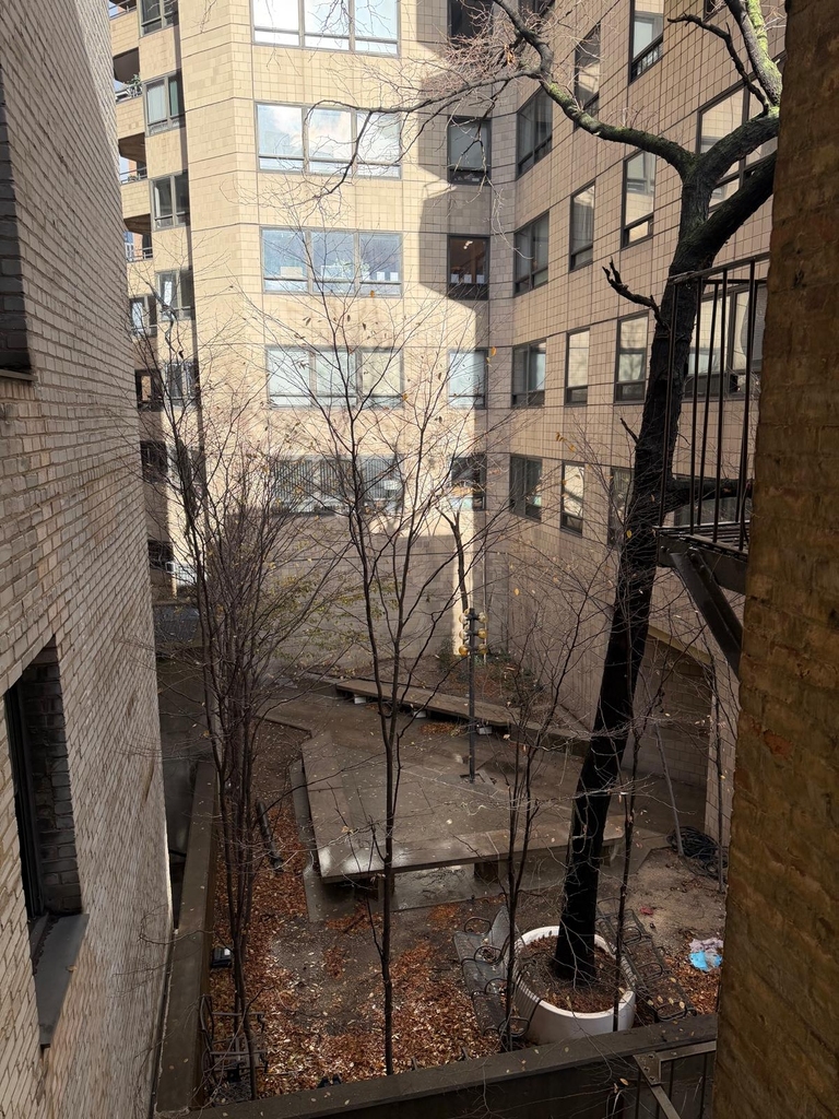 East 46th Street - Photo 5