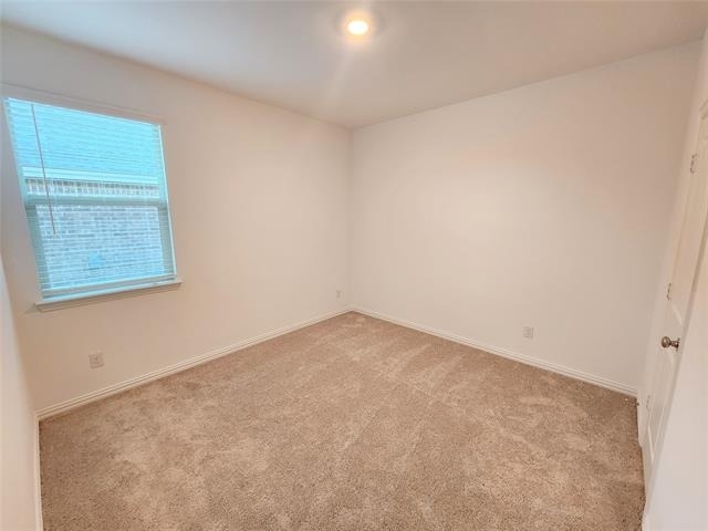 1202 Smoketree Lane - Photo 12