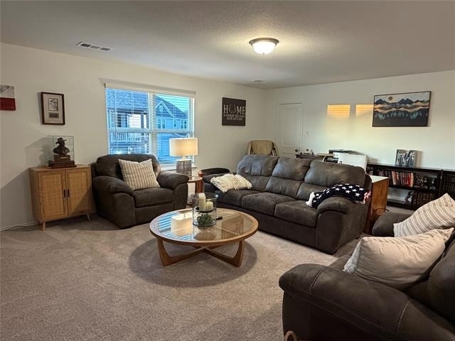 6012 Gully Grove Drive - Photo 19
