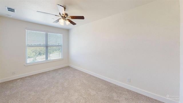 277 Mule Deer Drive - Photo 9