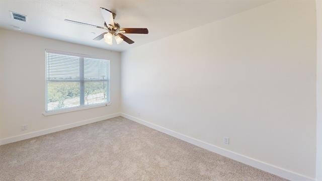 277 Mule Deer Drive - Photo 16