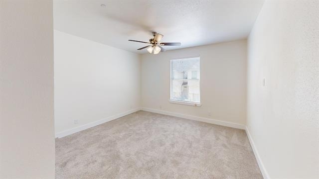 277 Mule Deer Drive - Photo 10