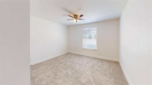 309 Mule Deer Drive - Photo 13