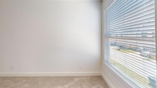 309 Mule Deer Drive - Photo 15