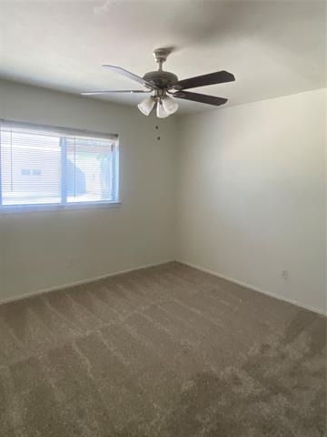 748 Chalk Hill Lane - Photo 14
