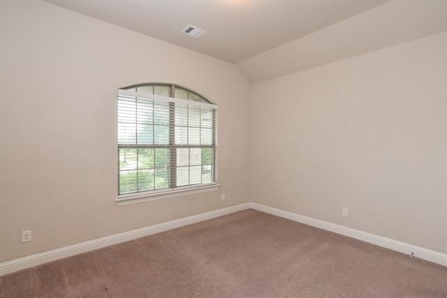 16696 Trumpet Vine Road - Photo 20