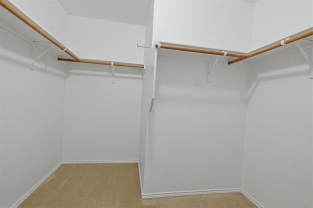 12720 Foxpaw Trail - Photo 20