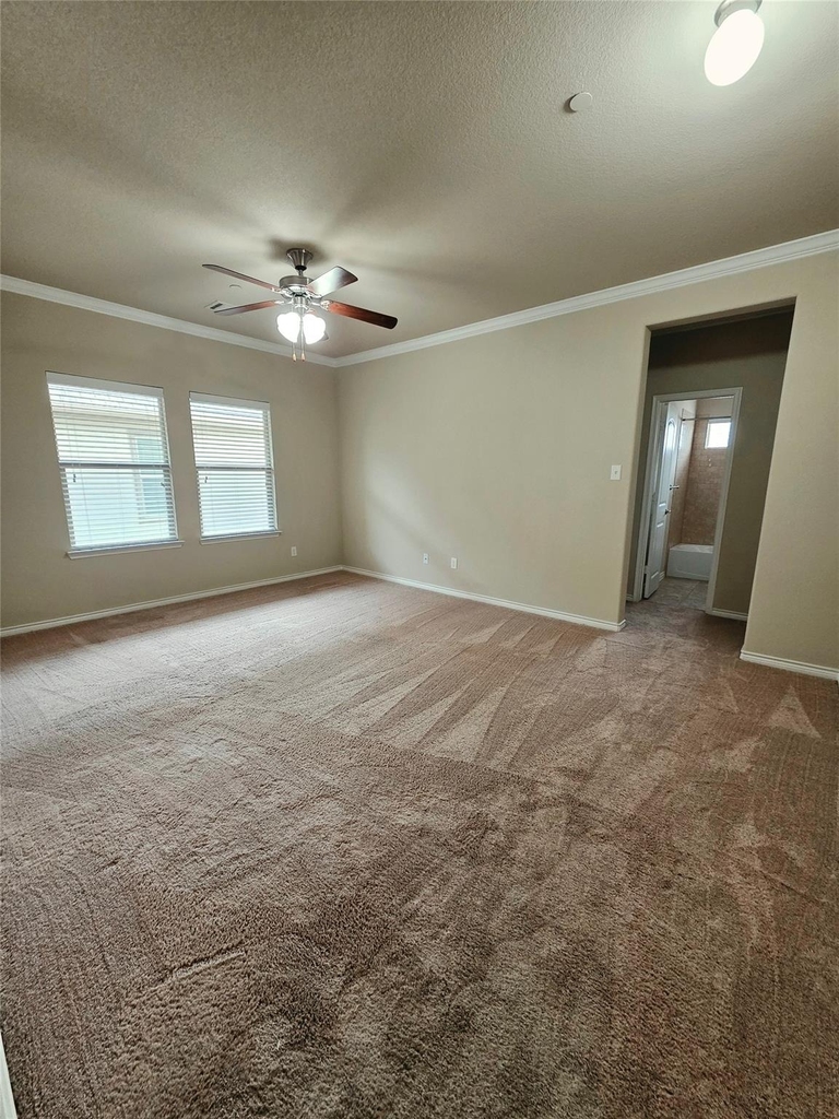 8717 Whitehead Street - Photo 25