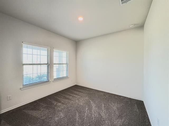 218 Alice Springs Lane - Photo 9