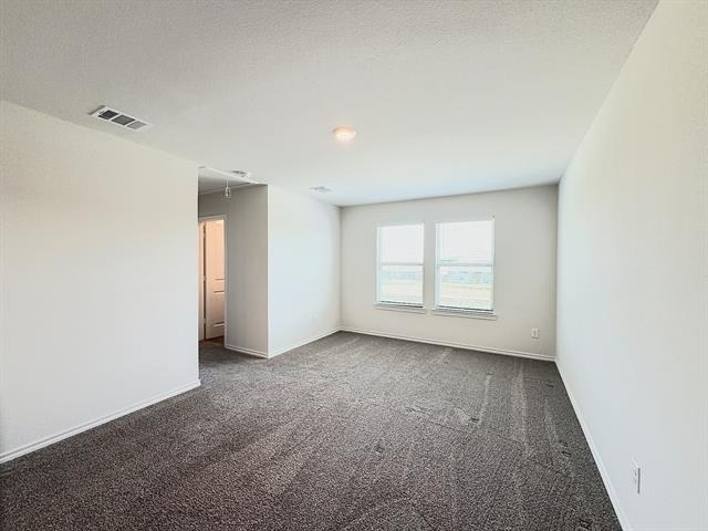 218 Alice Springs Lane - Photo 15