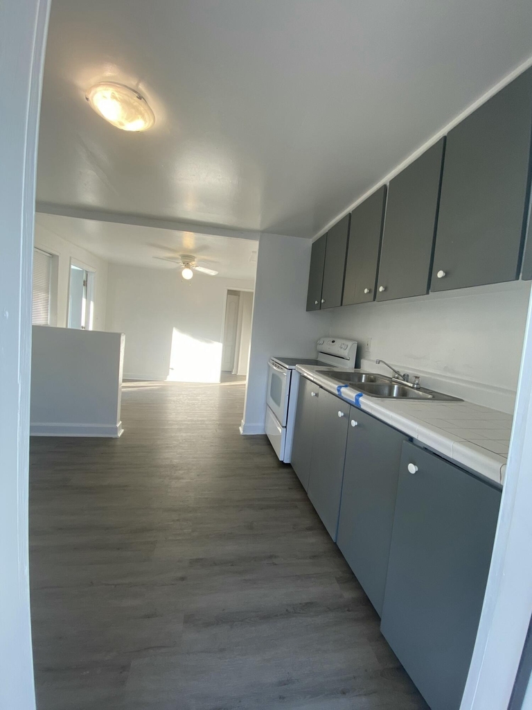 429 N 14th Street - Photo 4