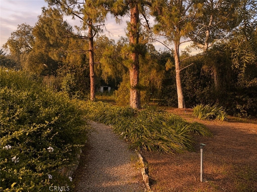 16 Cinnamon Lane - Photo 16