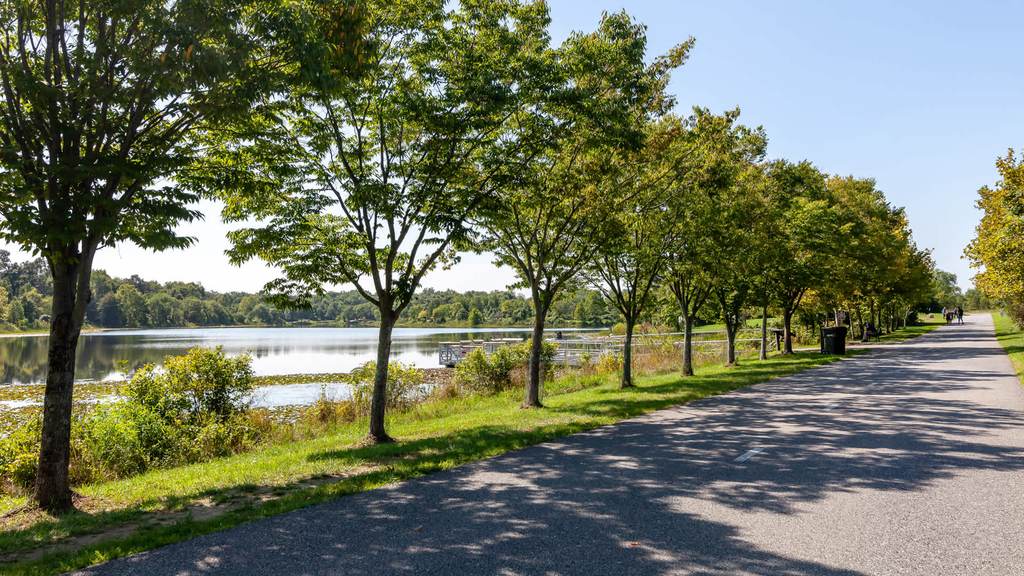 6210 Belcrest Road - Photo 45