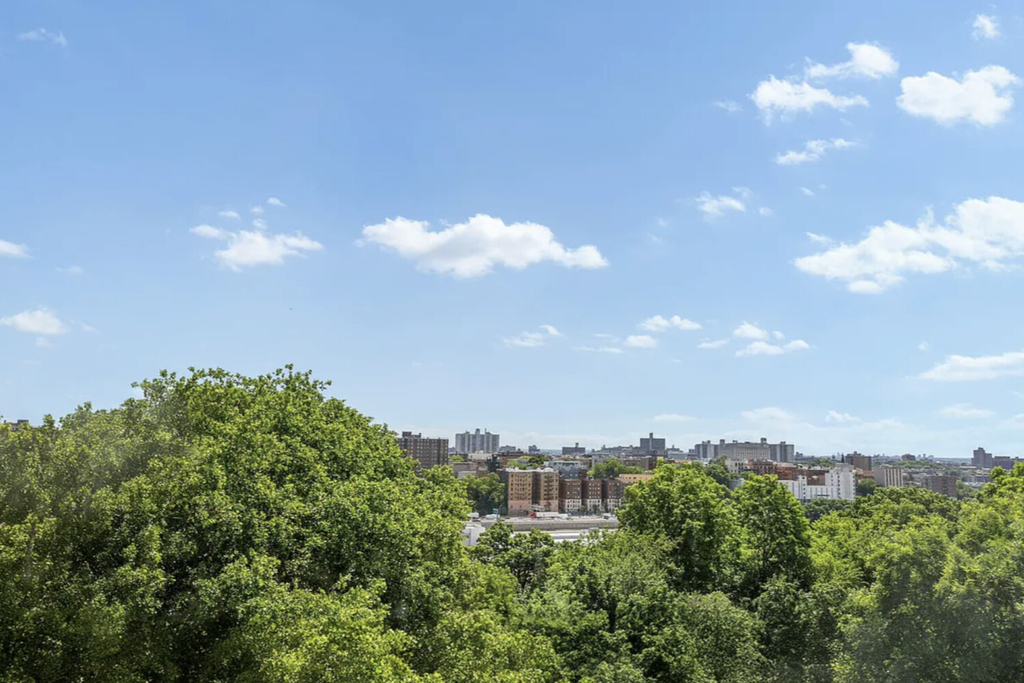 451 W 166th Street - Photo 4