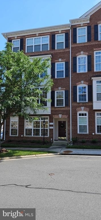 42683 Hollyhock Terrace - Photo 11