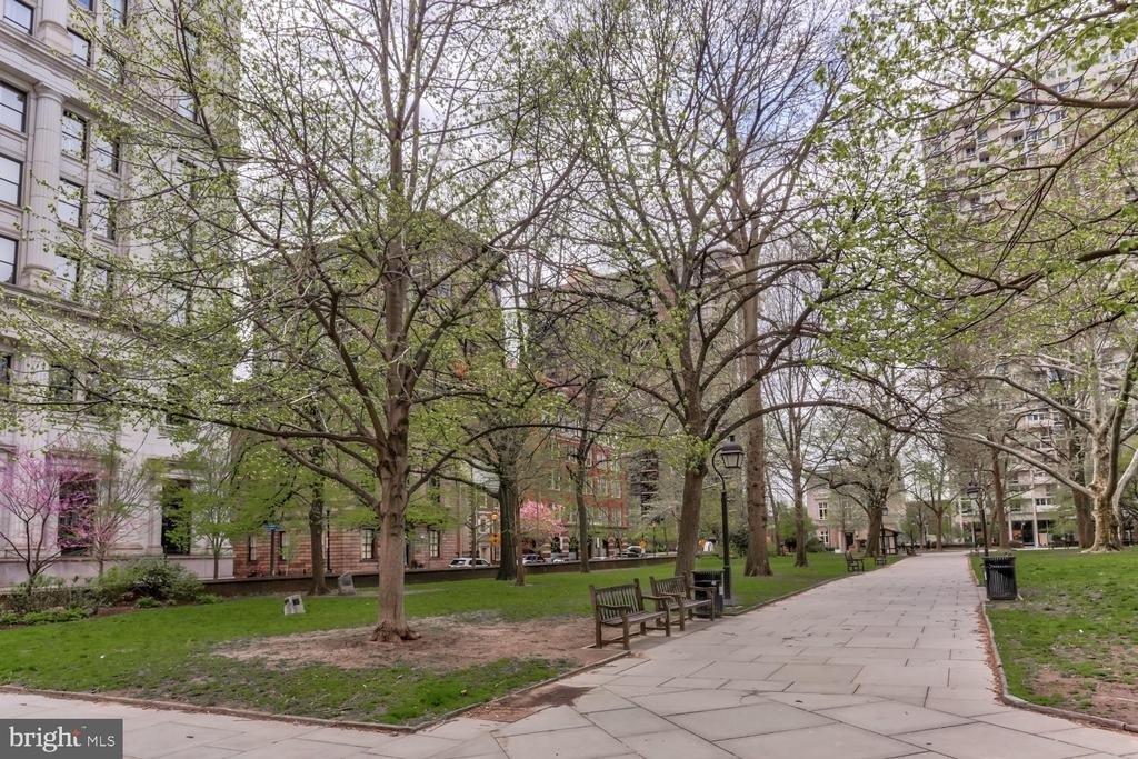 1825 Spruce Street - Photo 4
