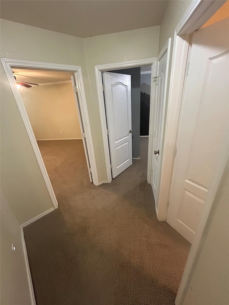 731 Abundance Ln - Photo 12