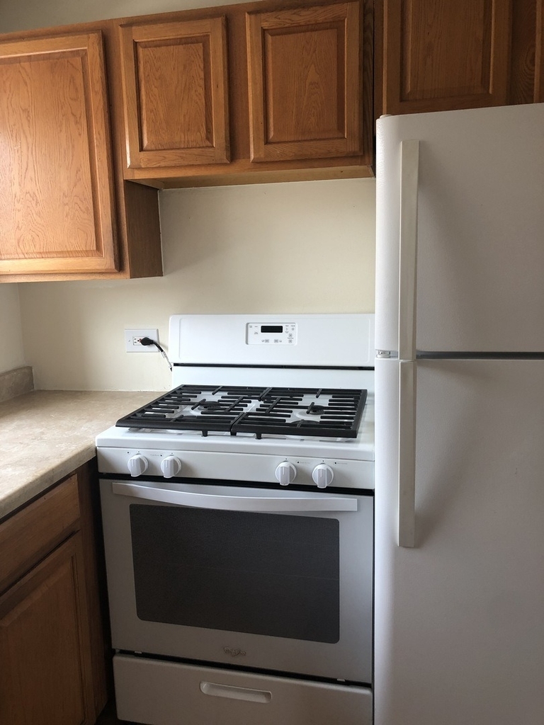 6130 N Seeley Avenue - Photo 13