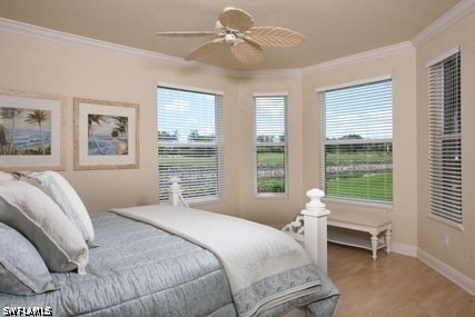 28605 San Lucas Lane - Photo 9