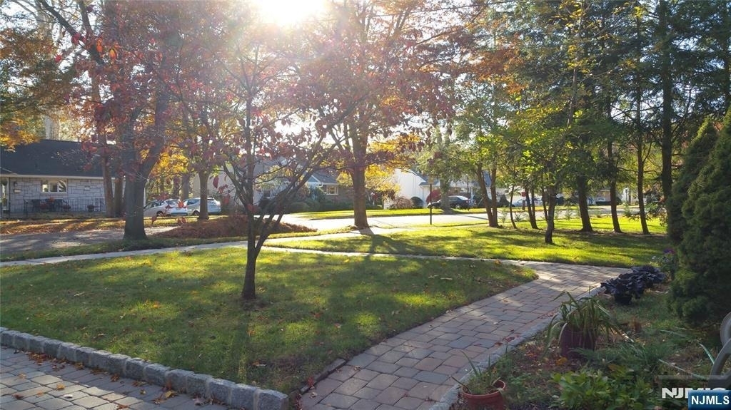 239 Mulberry - Photo 8