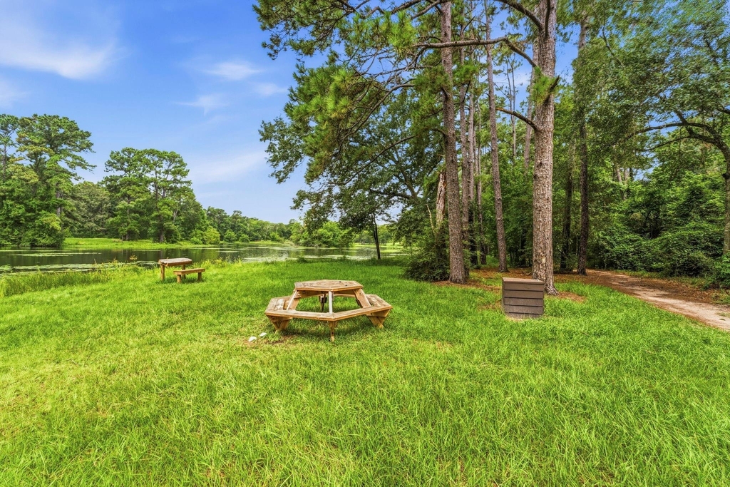 27730 Geneva Hills Lane - Photo 35