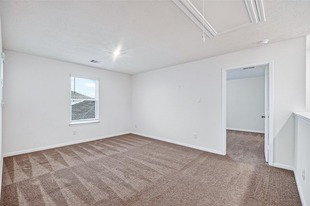 15723 Autumn Chicory Drive - Photo 13