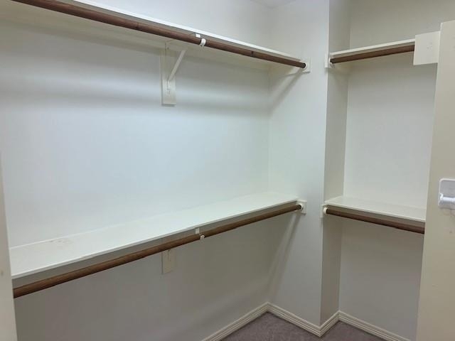 1030 Forestburg Drive - Photo 14