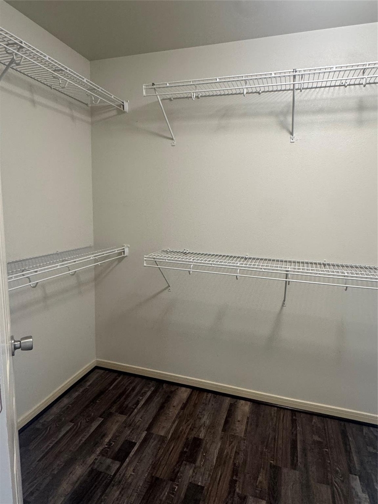 2842 Sandberry Drive - Photo 14