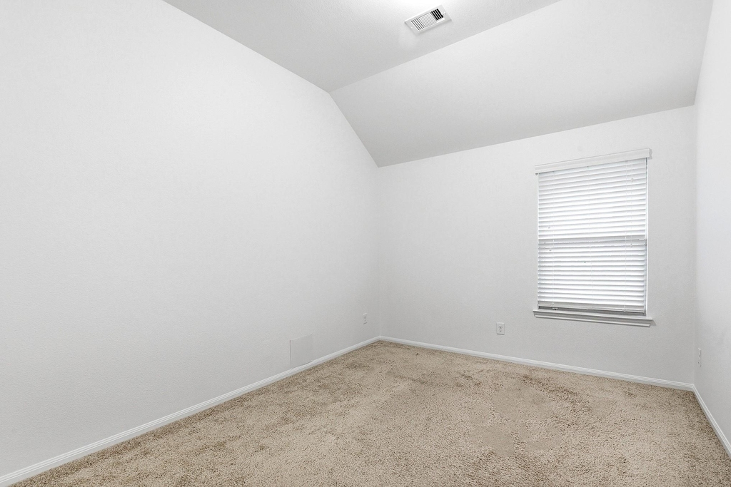 29142 Crested Butte Drive - Photo 28